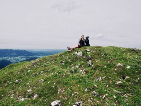 Abenteuer mit Hund image