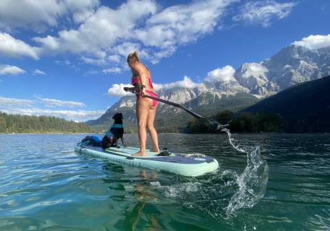 Stand Up Paddling mit Hund image