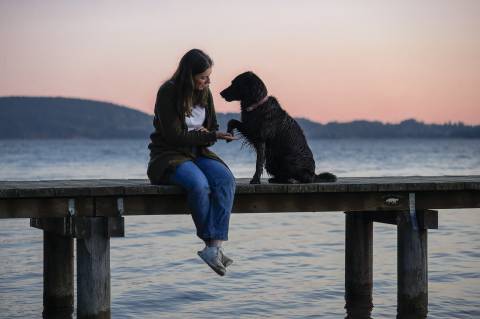 Hundefrauchenwoche image