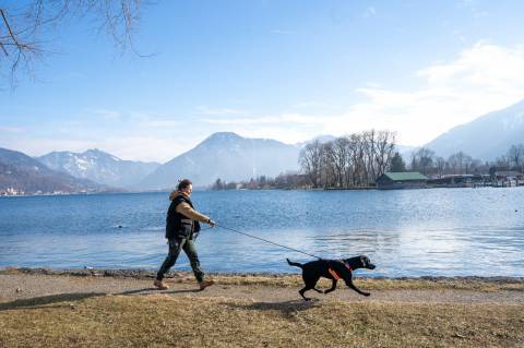 Immer der Nase nach image