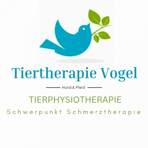 Rehasporttage für Hunde image