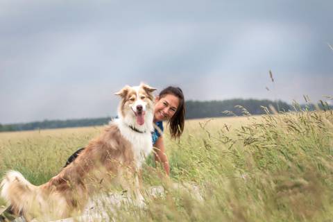 Wöchentlicher Hunde-Abenteuer-Walk image