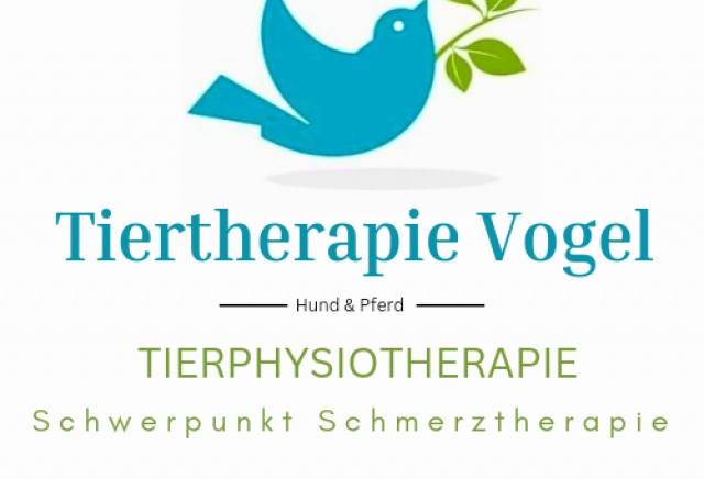 Rehasporttage für Hunde