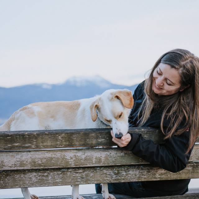 Zur Hundeknigge