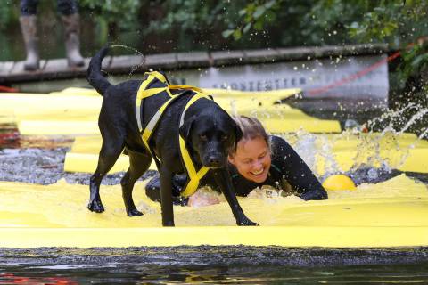 Stand Up Paddling mit Hund image