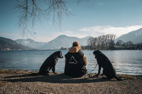 Hundewoche am Tegernsee mit Carolin image