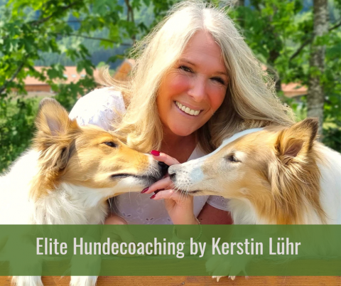 Kerstin Lühr - Coach für Menschen mit Hunden lädt zum Q&A ein image