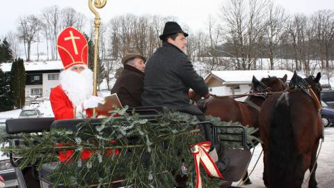 TRADITIONELLER NIKOLAUSMARKT image