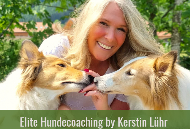Kerstin Lühr - Coach für Menschen mit Hunden lädt zum Q&A ein