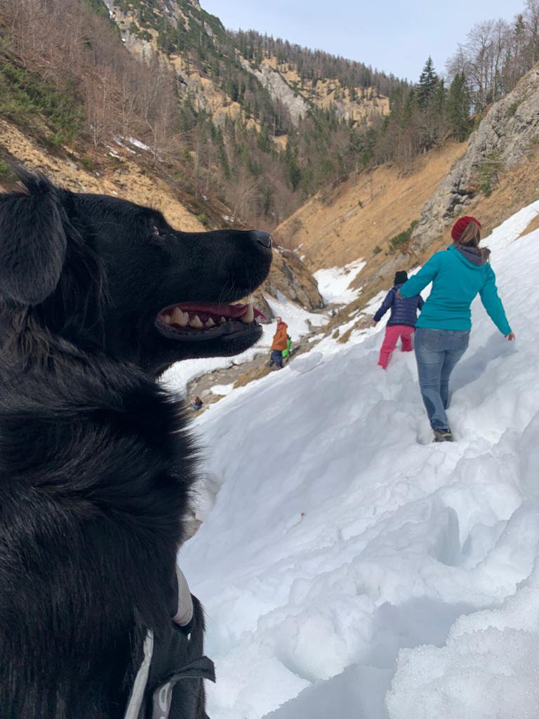 Urlaub mit Hund am Tegernsee Schnitzer�s Dahoam